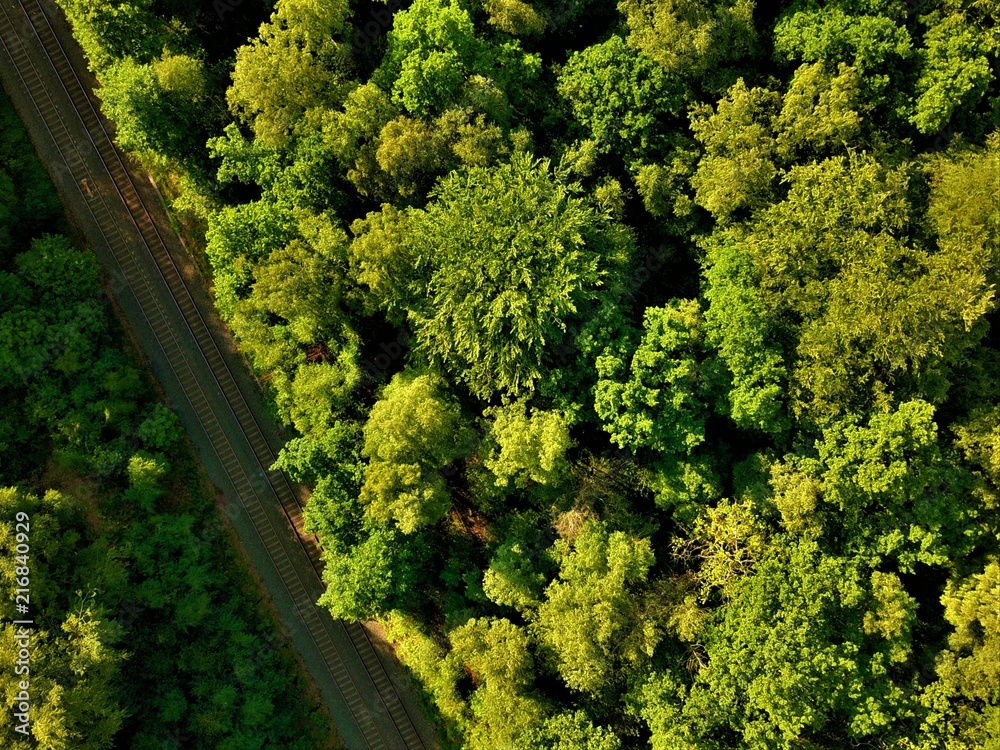 Aerial photo of a rail way crossing a forest 