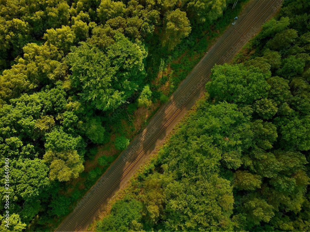 Aerial photo of a rail way crossing a forest 