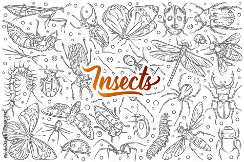 Hand drawn insects ant and butterfly.