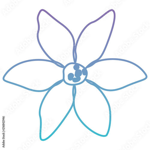 beautiful flower garden icon vector illustration design