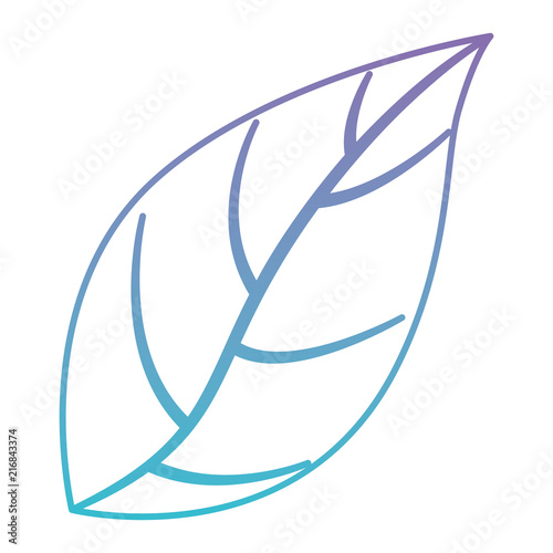 leaf plant ecology icon vector illustration design