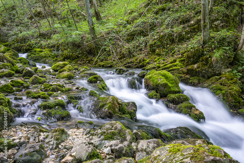 River of the Bigar Waterfall above the cascade Romania
