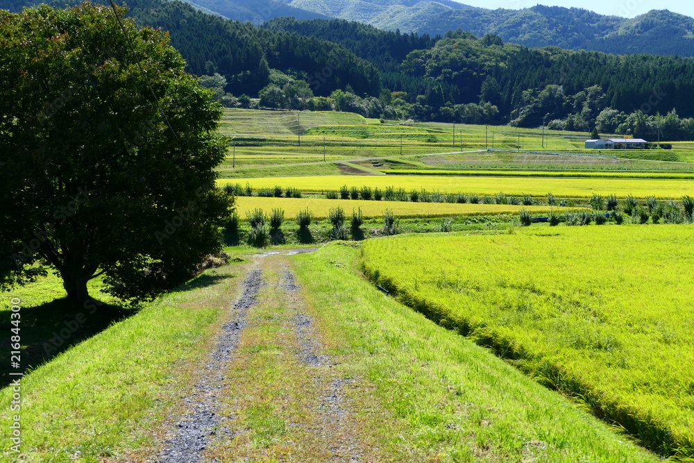 田舎道。秋の遠野路。遠野　岩手　日本。９月下旬。