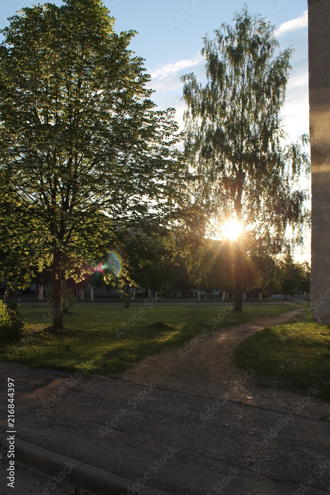 Obraz premium nature