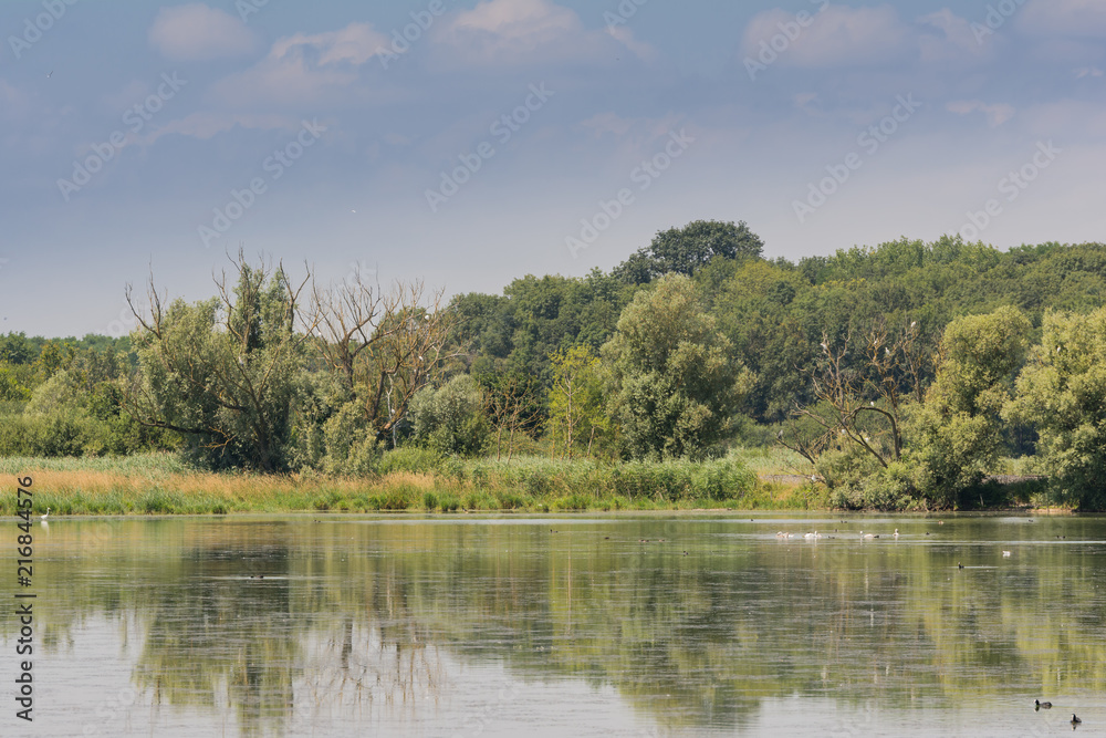 Vögel im Naturschutzgebiet