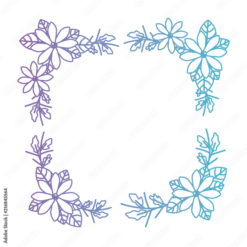 beautiful flower and leafs square frame vector illustration design beautiful flower and leafs square frame vector illustration design