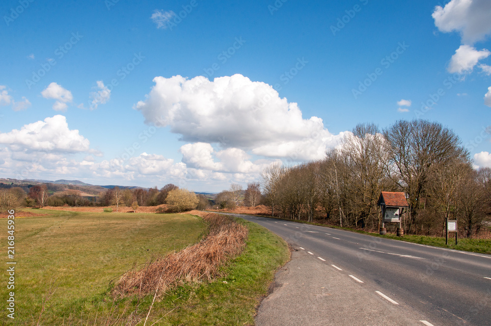 Springtime country road in the British countryside.