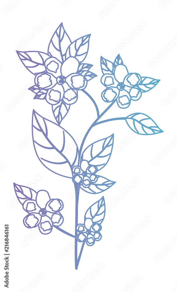 beautiful flower and leafs garden vector illustration design beautiful flower and leafs garden vector illustration design