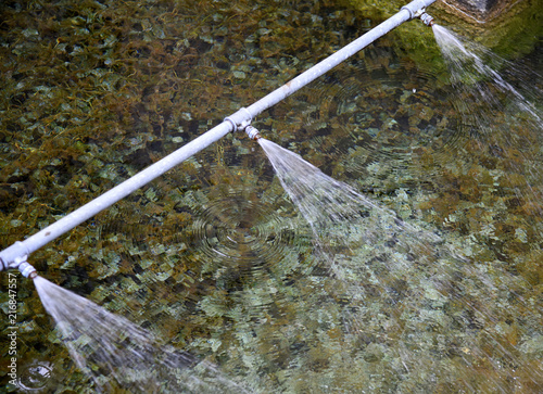 Wasserleitung mit Sprinklern über einem überhitzten, sauerstoffarmen Gewässer photo