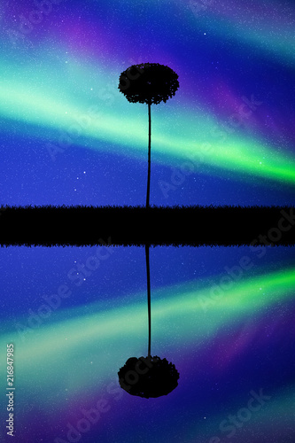 Landscape with lonely tree at night. Vector illustration with isolated silhouette of maple reflected in water. Northern lights in starry sky. Colorful aurora borealis