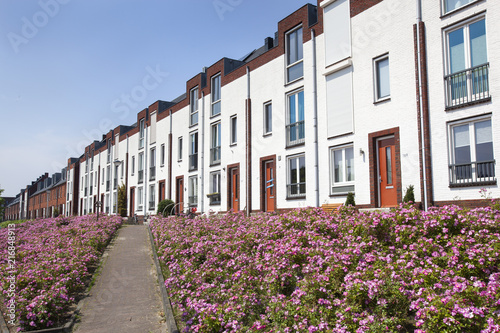 White modern houses in a row photo