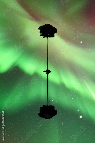 Landscape with lonely tree at night. Vector illustration with isolated silhouette of maple reflected in water. Northern lights in starry sky. Colorful aurora borealis