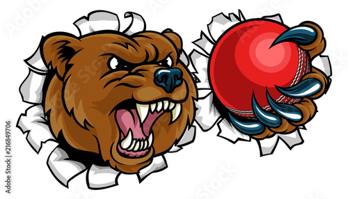Bear Holding Cricket Ball Breaking Background