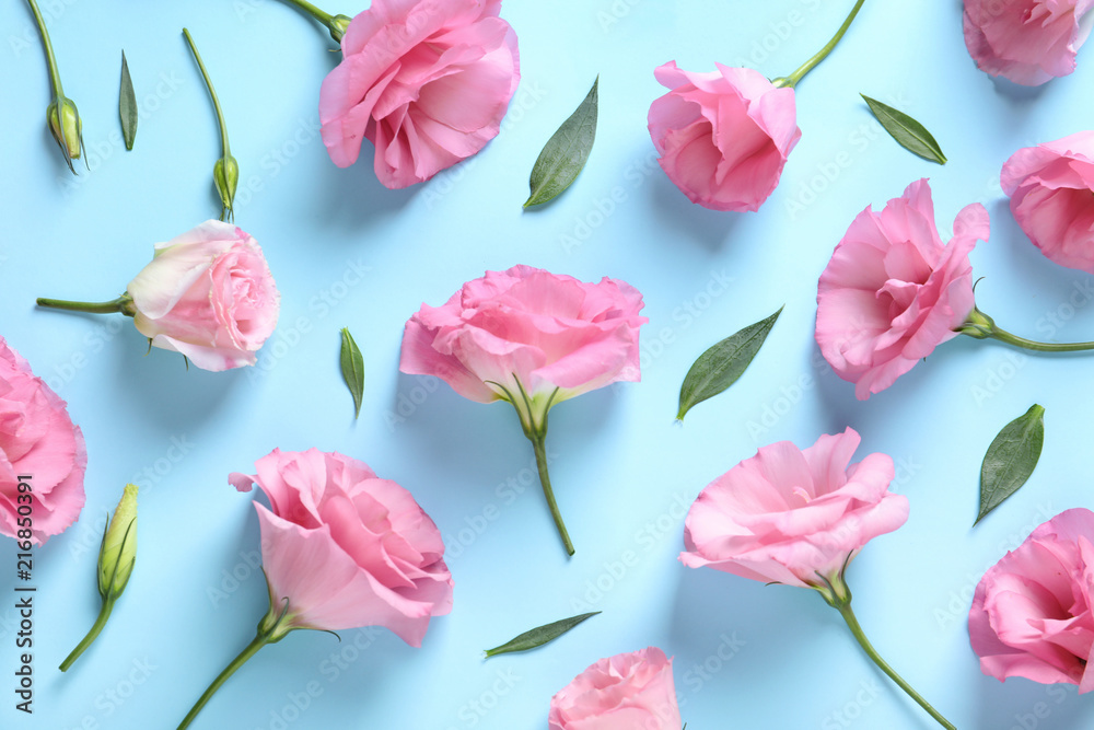 Flat lay composition with beautiful Eustoma flowers on color background
