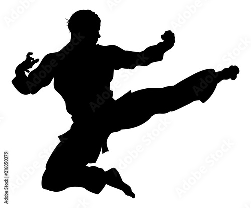 Obraz na plátne Karate or Kung Fu Flying Kick Silhouette