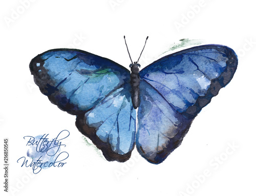 Photography Large blue watercolor butterfly