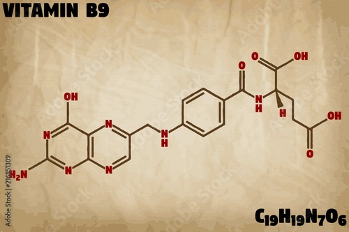 Detailed infographic illustration of the molecule of Vitamin B9.