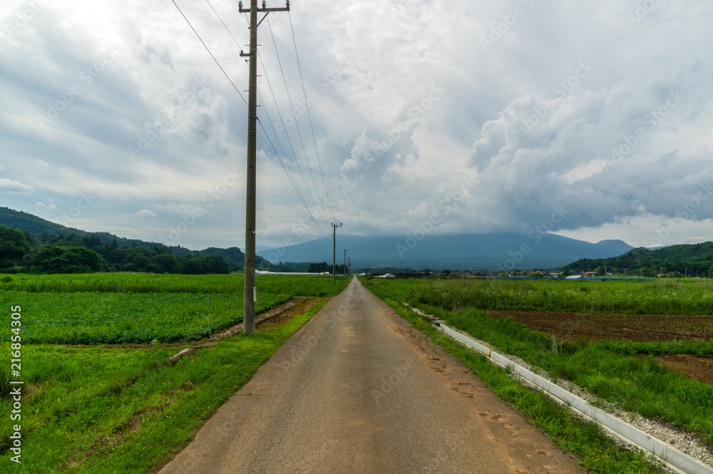 夏の水田地帯 夏の水田地帯
