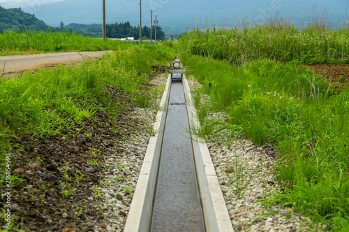 夏の水田地帯