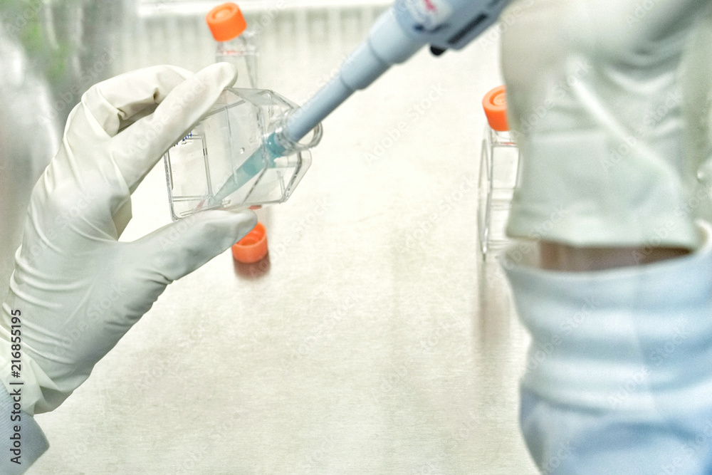 The women researcher using pipette and cell culture flask do the