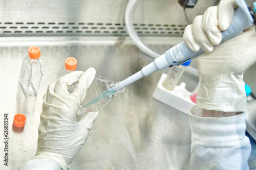 The women researcher using pipette and cell culture flask do the aseptic technique for changing the medium of adherent cell culture is needed to maintain cells in numeral growth.