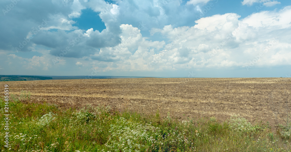 Landscape of rural field with green hills on the horizon. Blue sky with big white clouds. Empty agricultural field with some green grass and white wild flowers. Nature panoramic landscape