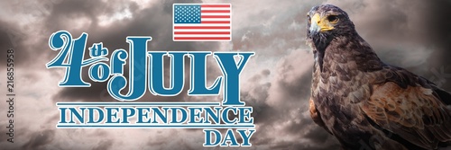 Composite image of independence day graphic photo