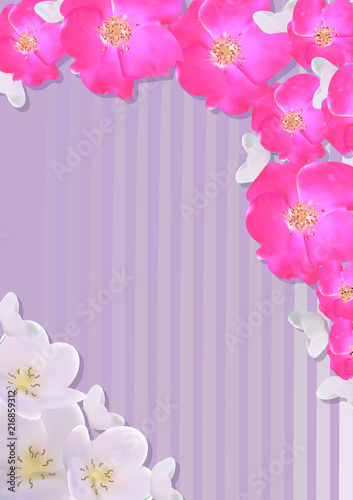 Postcard with sakura on a striped background.