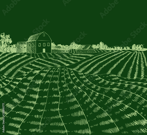 Vector Hand Drawn Farm Field, Rural Landscape, Green.