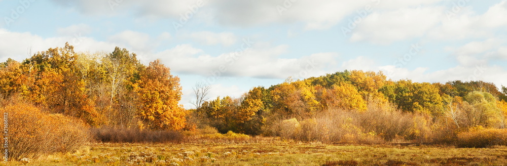 Wide panorama landscape with yellow trees