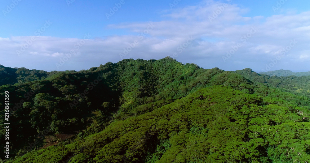 mountain landscape on a Pacific island