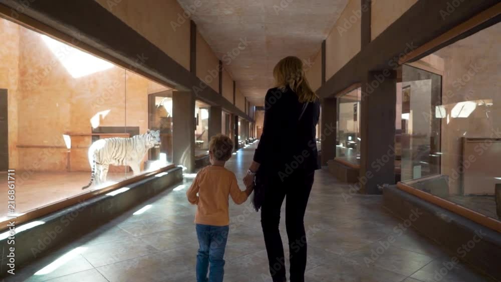 Mother and son walk in the zoo near cage of white tiger