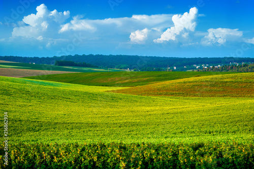 lines of the slopes of fields of agricultural crops