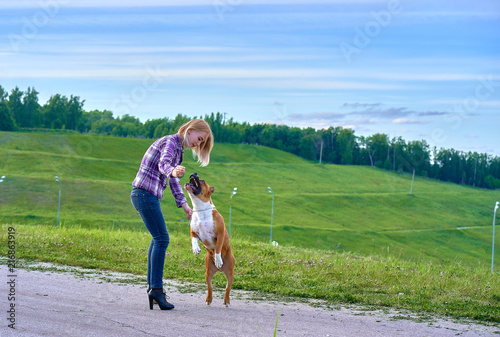 Bild auf Leinwand A young blonde girl is training a dog of the breed American Staffordshire Terrier