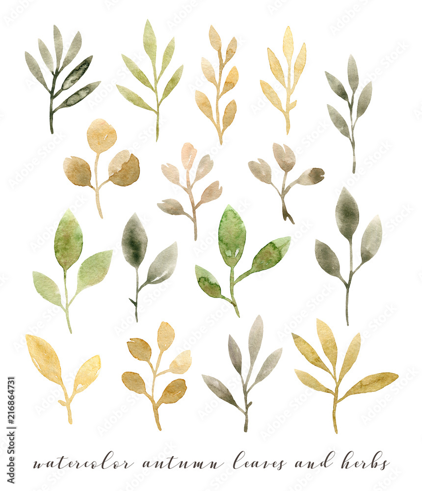 watercolor autumn leaves and herbs. hand painting isolated elements
