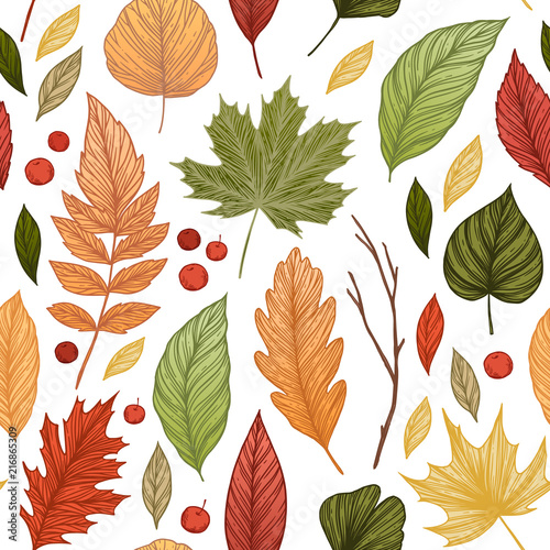 Hand drawn vector illustration. Seamless pattern with fall leaves. Forest background. Colors of Autumn