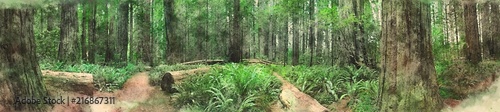 Obraz na płótnie Redwood National Park akwarela panorama