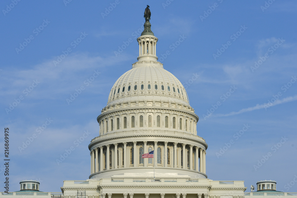 Obraz premium United States Capitol Building - Washington D.C. United States of America