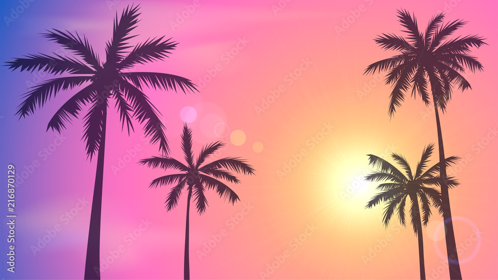 Obraz premium Tło z zmierzchu niebem i drzewkami palmowymi, tropikalny kurort, Miami