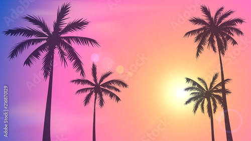 Background with sunset sky and palm trees, tropical resort, Miami photo