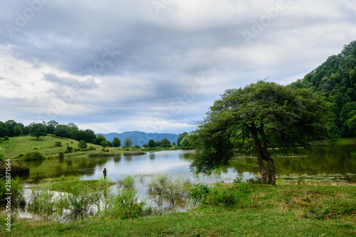 Beautiful landscape with lake and alone tree  Armenia