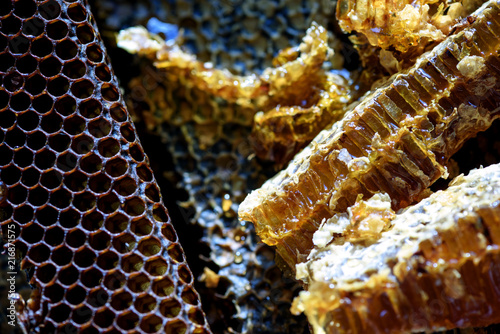 Macro of Fresh Natural Honeycomb