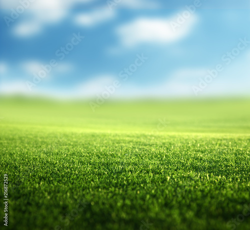 field of spring grass (shallow DOF) © Iakov Kalinin