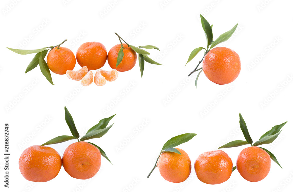 Oranges on a white background. Fresh citrus fruits on a white background. Oranges on a white background. Fresh citrus fruits on a white background.
