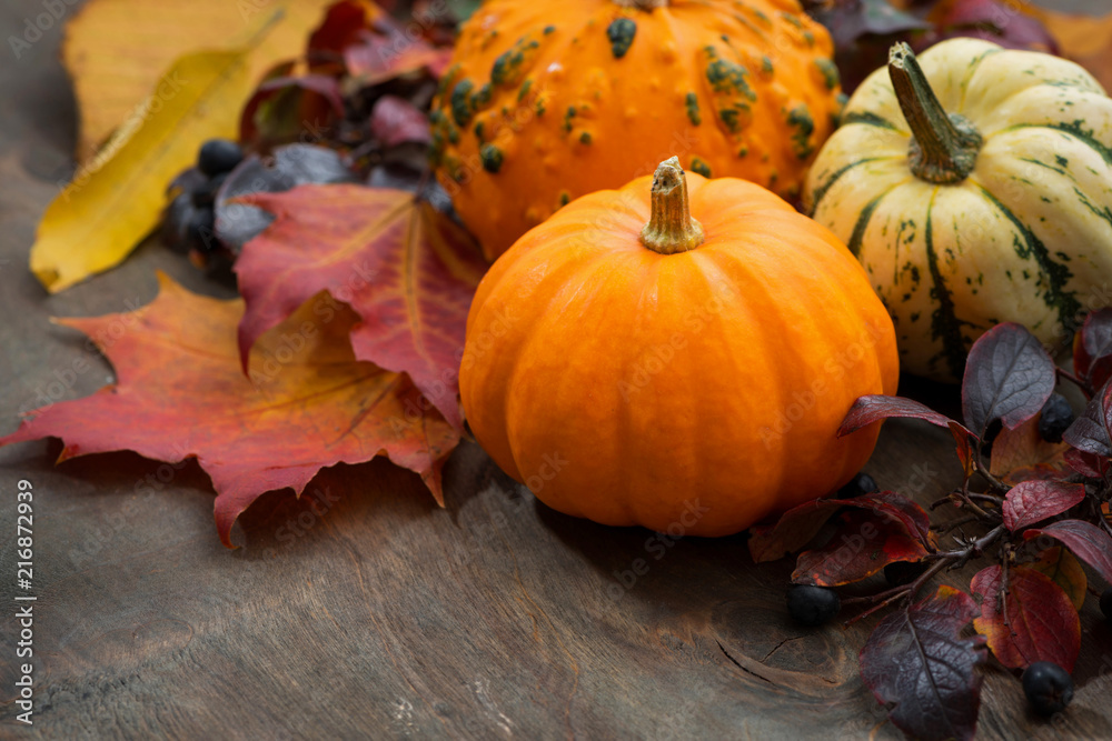 seasonal pumpkin with autumn leaves