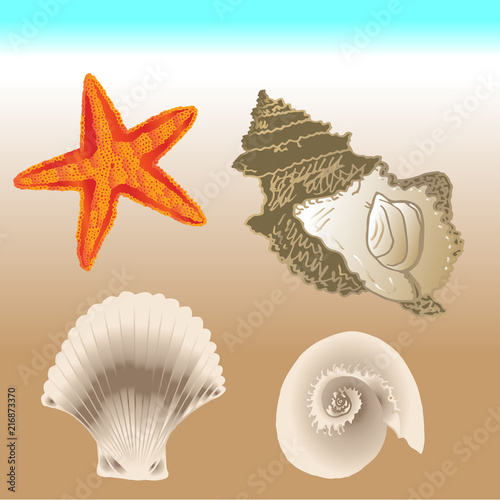 Hand illustrations coloured of starfish+seashells on beach background. Poster, card, clothes, bags, postcard, banner.