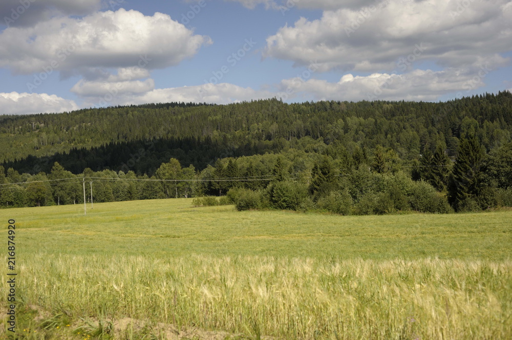 Obraz premium Nordic countries, Scandinavia, ecology, travel, mountains, forests, outdoor activities, nature