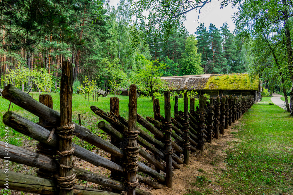 The medieval settlement