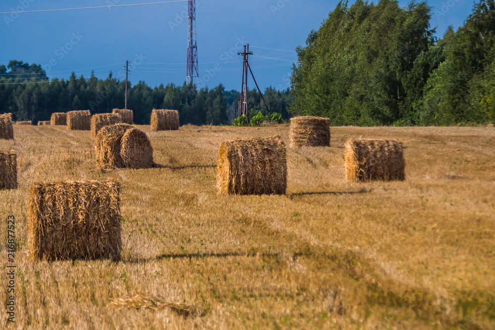A hay in the field. before winter in the village