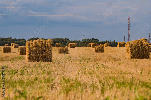 Obraz na płótnie A hay in the field. before winter in the village w salonie
